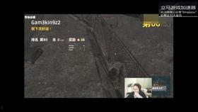 搞笑视频吃瓜鸡,一场搞笑视频的狂欢盛宴