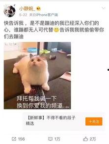 抖音吃瓜群众最新视频大全