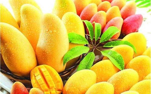 带你吃瓜豹纹芒果视频,探寻“带你吃瓜豹纹芒果”视频的独特魅力