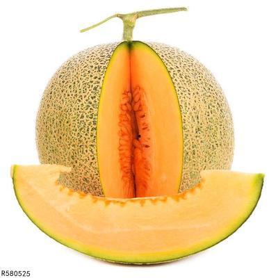 蛇可以吃哈密瓜吗视频教程,哈密瓜在蛇餐中的奇妙之旅