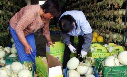 白皮瓜怎么吃最好吃视频,视频教你如何吃出最佳口感