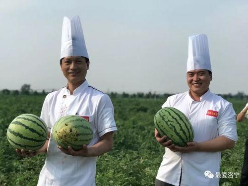 带你吃瓜大厨视频大全集,揭秘美食背后的故事与技巧