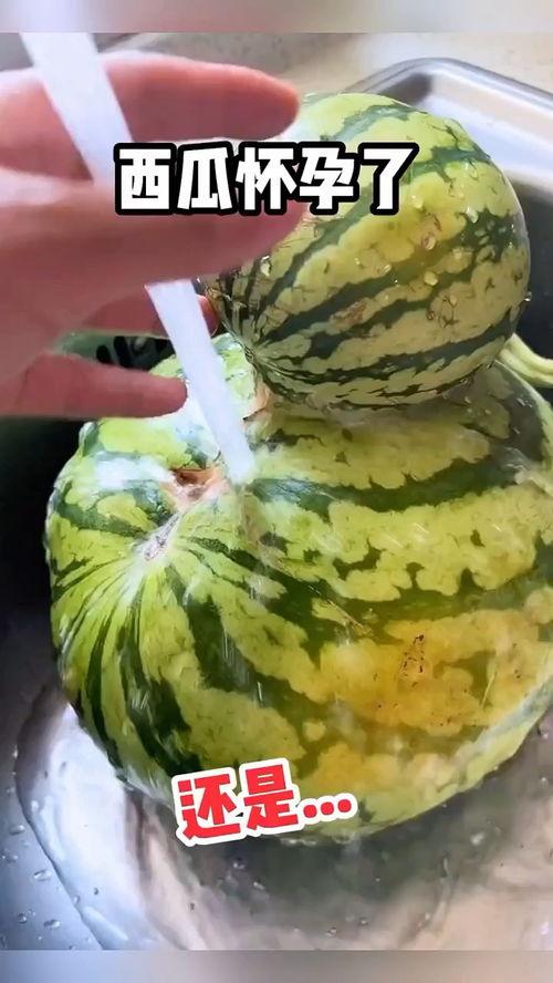 超级搞笑视频带你吃瓜,笑料横生！跟随搞笑视频一起品尝“吃瓜”盛宴