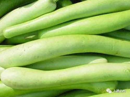 一家四口吃瓜事件视频播放,引发网友热议